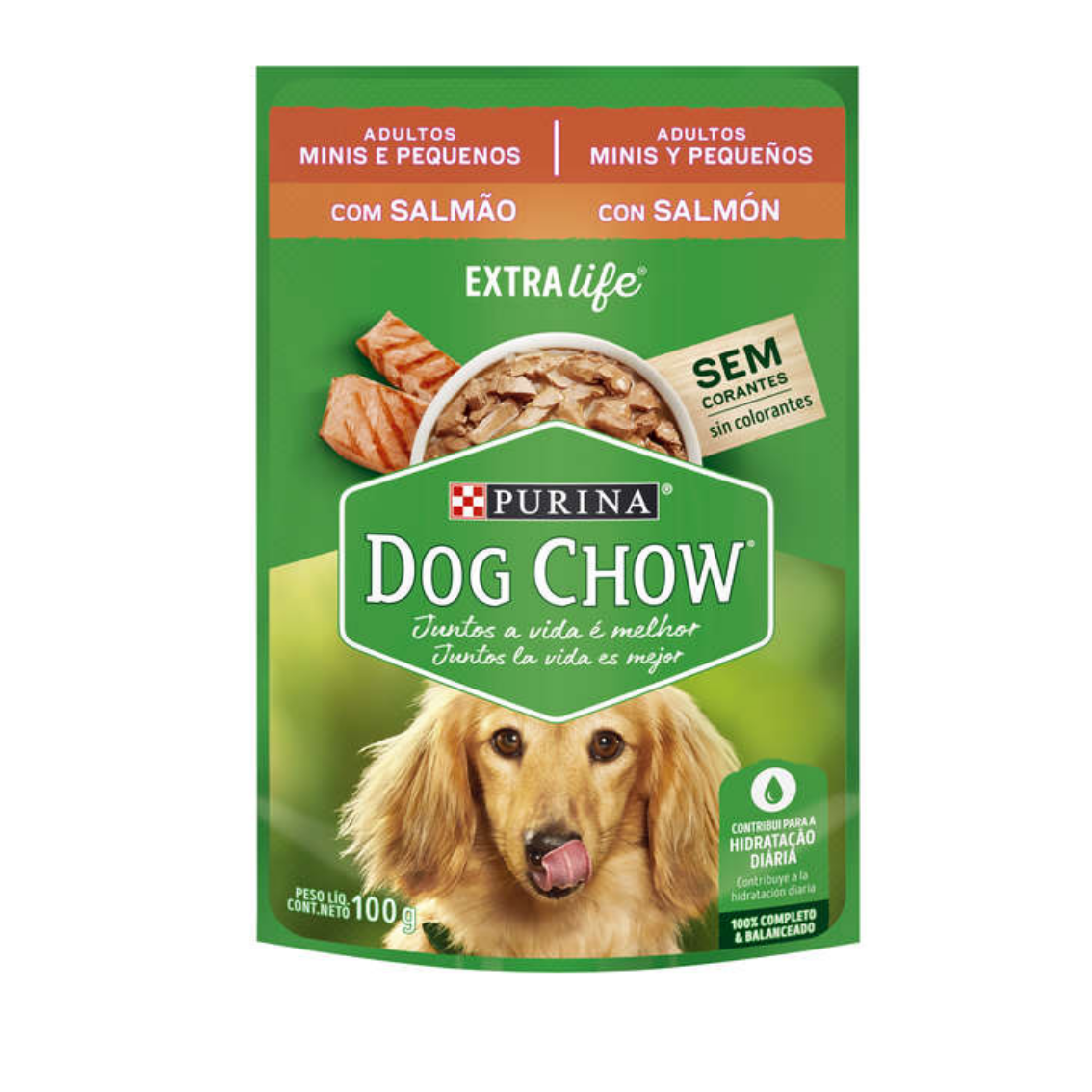 DOG CHOW SCH ADT.MINI SALMAO 100G