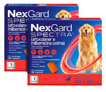 NEXGARD SPECTRA GG 30,1-60KG C/01