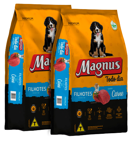 RC MAGNUS 20KG TODO DIA FILHOTE CARNE
