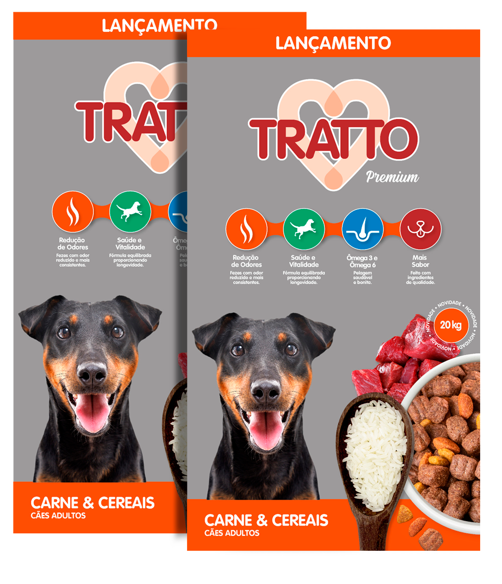RC TRATTO PREMIUM AD CAR/CER 20KG