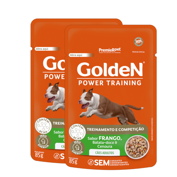 RC GOLDEN GOURMET CA.TRAINING 85G