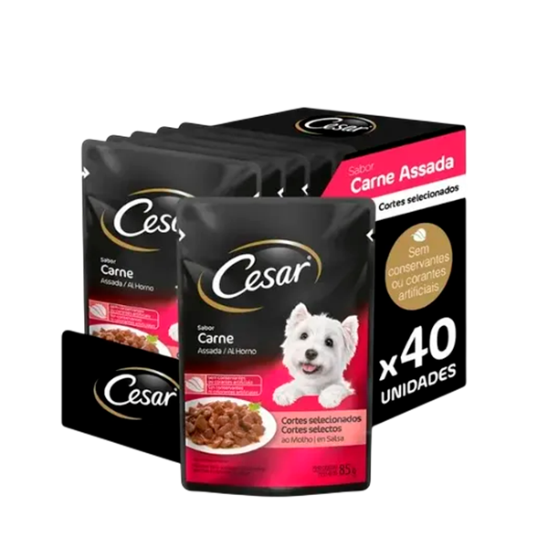 CESAR SCH ADT CARNE ASSADA AO MOLHO 85G